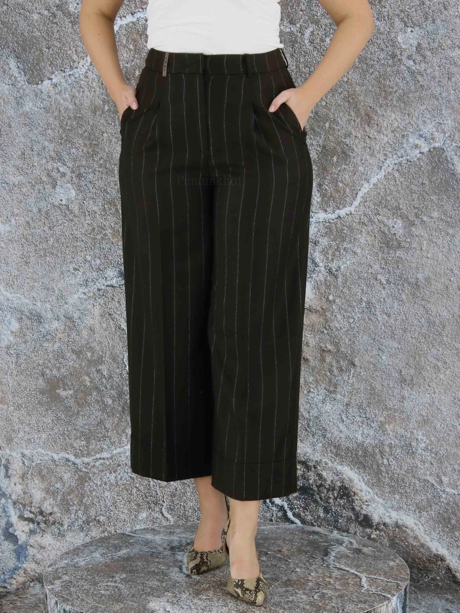 Peserico P04594-04497 Pantalons Bruin 7 Peserico P04594-04497 Pantalons Bruin - Afbeelding 5