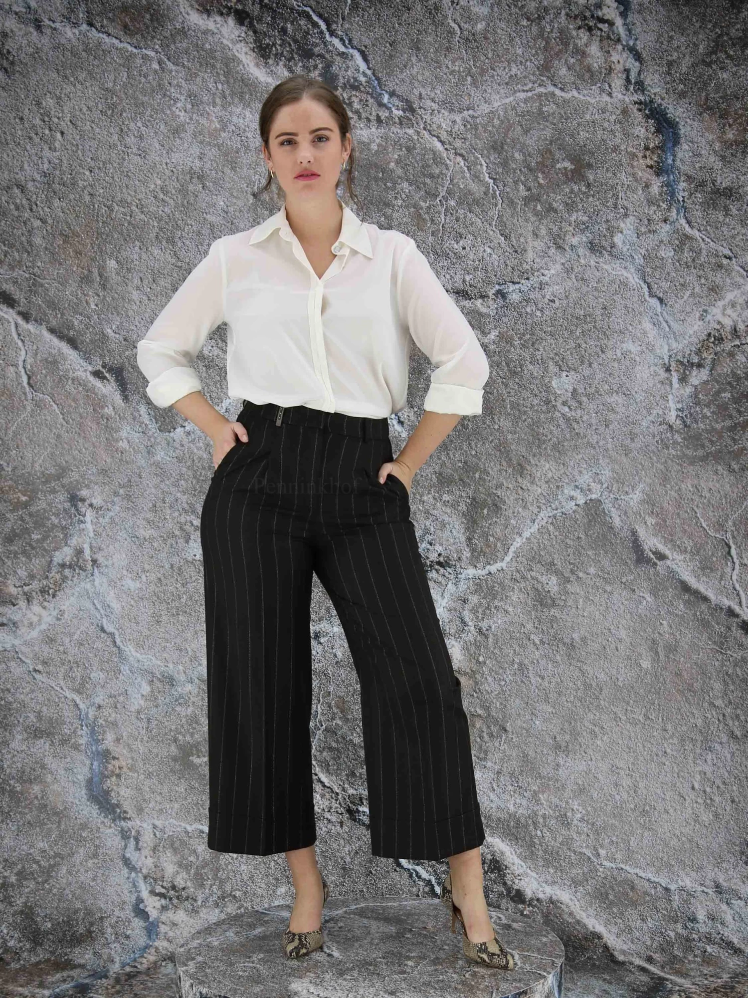 Peserico P04594-04497 Pantalons Bruin 8 Peserico P04594-04497 Pantalons Bruin - Afbeelding 6