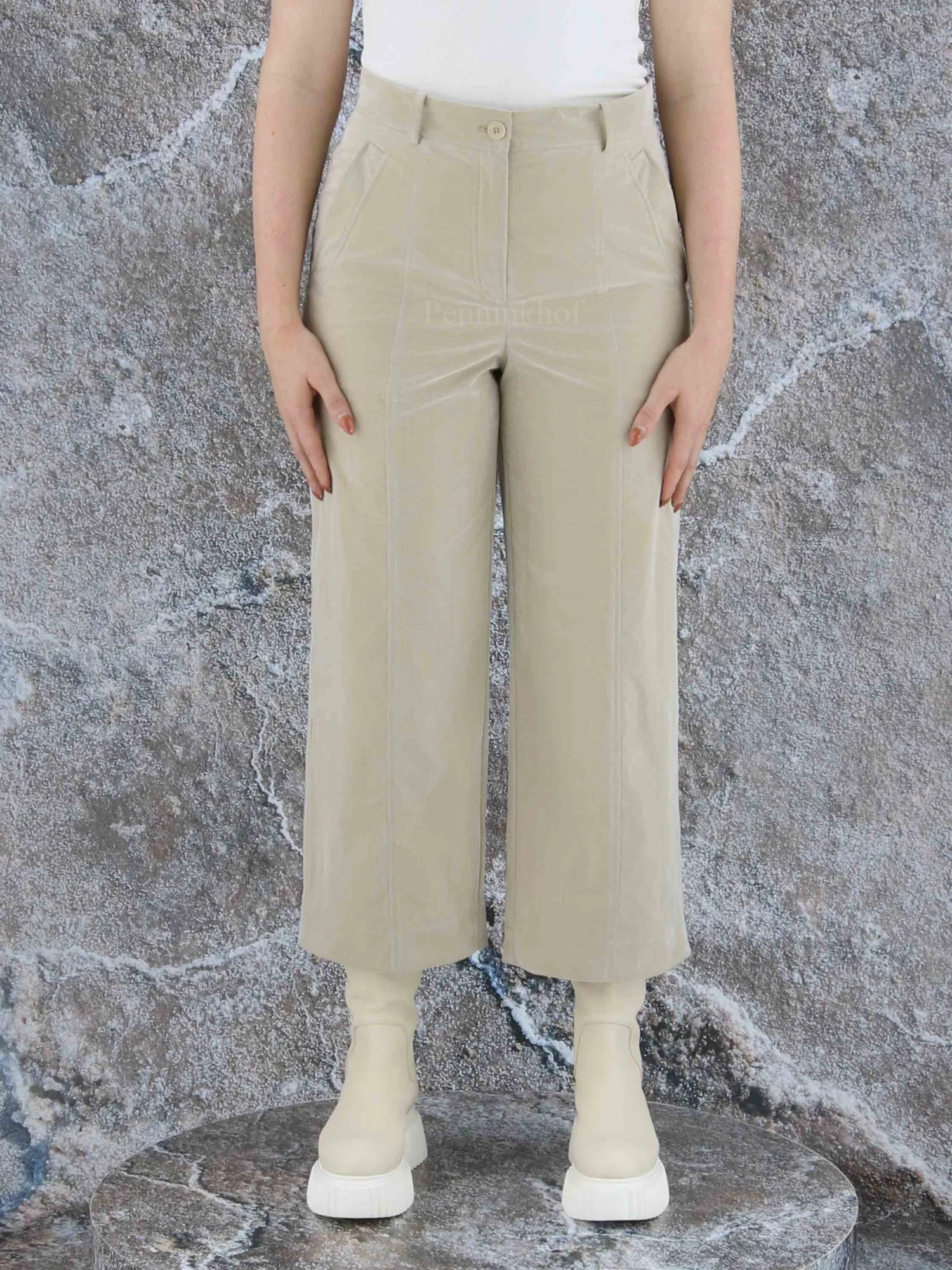 Annette Görtz ILAI 35120 Pantalons Beige 5 Annette Görtz ILAI 35120 Pantalons Beige - Afbeelding 3