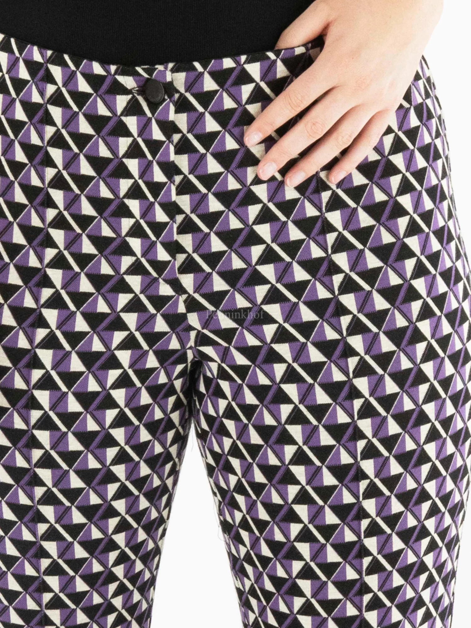 Cambio ROSS 6529 0202-30 Pantalons Paars 10 Cambio ROSS 6529 0202-30 Pantalons Paars - Afbeelding 8